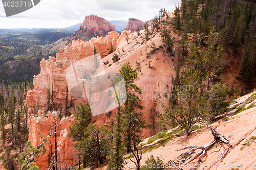 Image of Bryce Canyon, Utah, USA