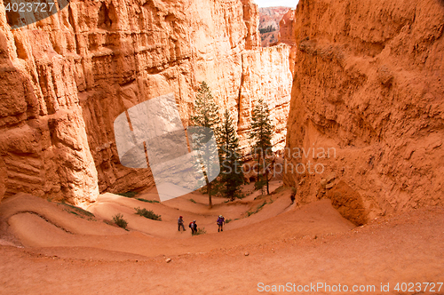 Image of Bryce Canyon, Utah, USA