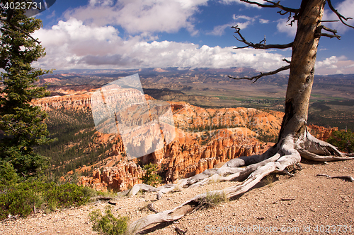 Image of Bryce Canyon, Utah, USA