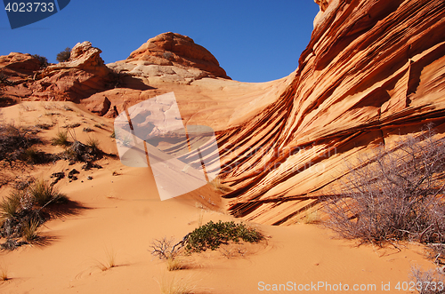 Image of The Wave, Vermilion Cliffs National Monument, Arizona, USA