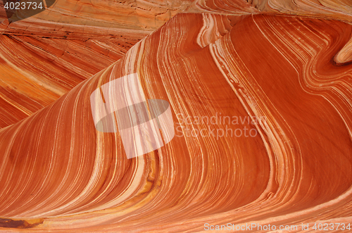 Image of The Wave, Vermilion Cliffs National Monument, Arizona, USA