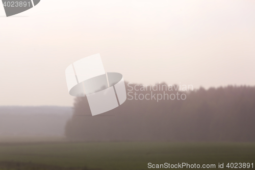 Image of Nature in autumn season