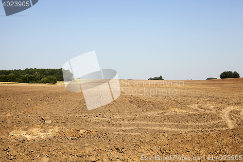 Image of plowed agricultural field