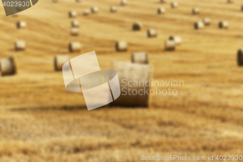 Image of agriculture, not in focus