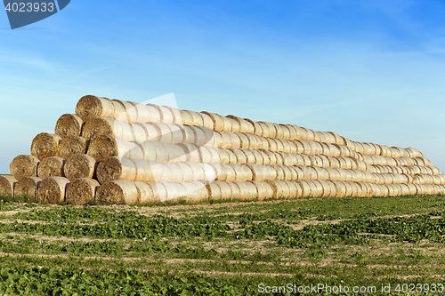 Image of stack of straw in the field