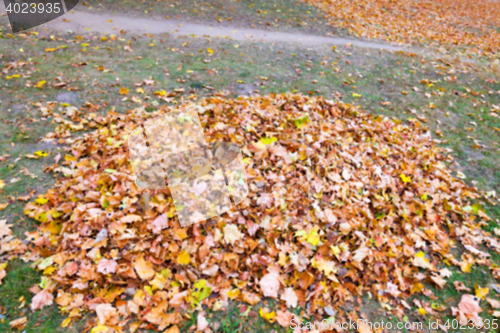 Image of autumn in the park