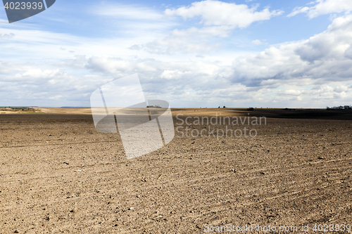 Image of agricultural field with cereal