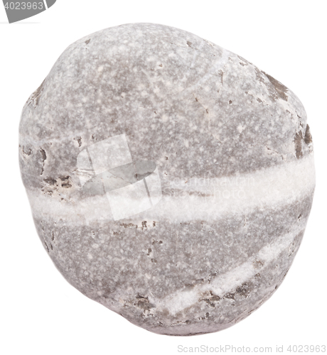 Image of pebble on white