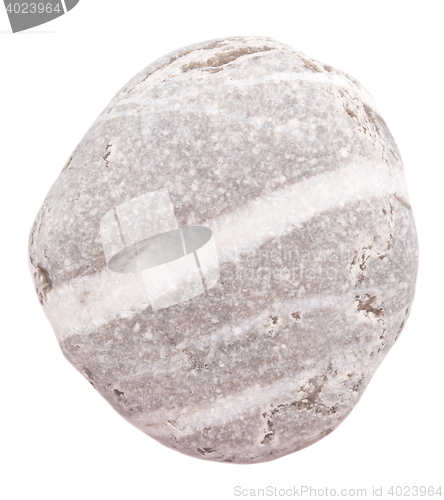Image of pebble on white