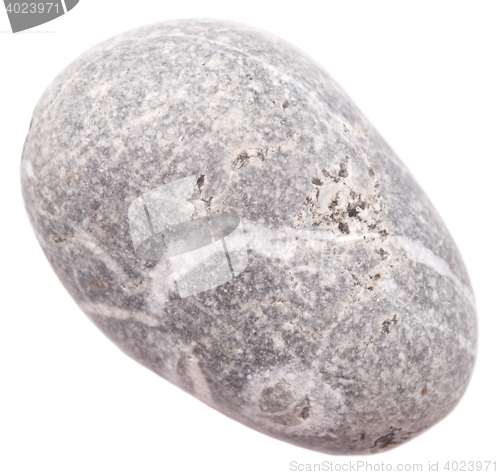 Image of pebble on white