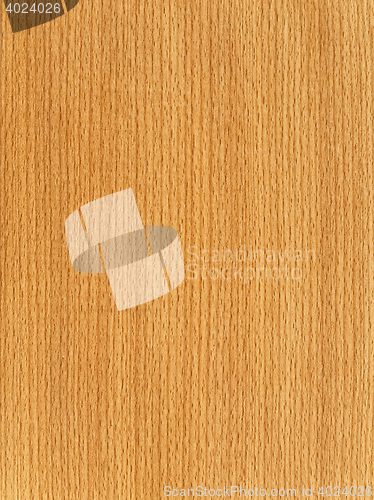 Image of Wooden Texture 