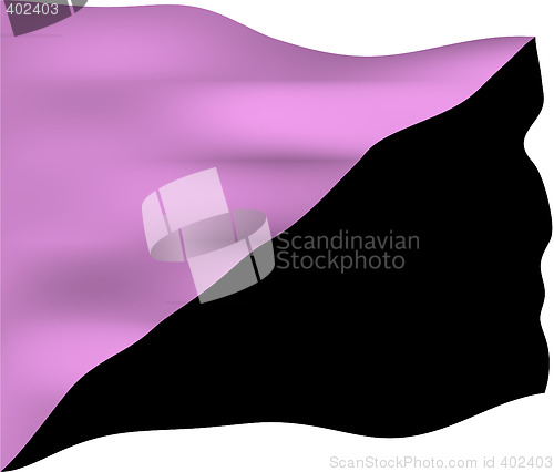 Image of Anarchist Queer Flag