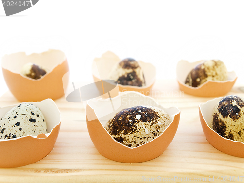 Image of Quail Eggs