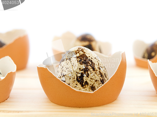 Image of Quail Eggs