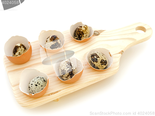 Image of Quail Eggs