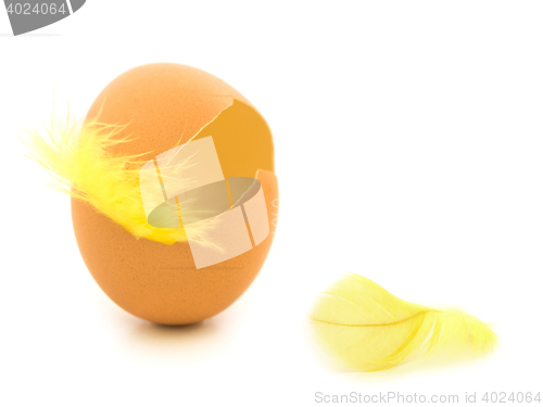 Image of Easter
