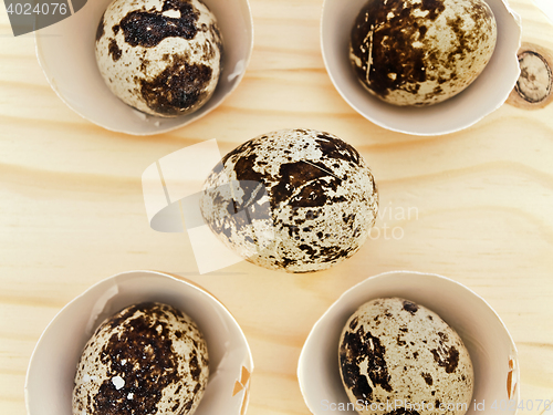 Image of Quail Eggs