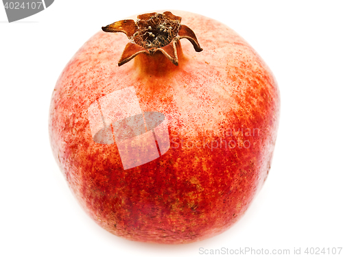 Image of Red Pomegranate