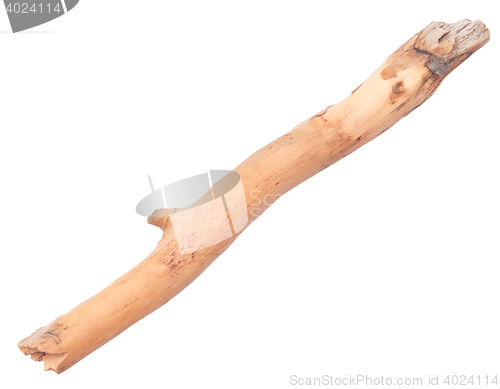Image of stick on white