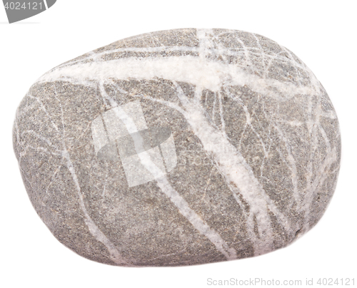 Image of pebble on white