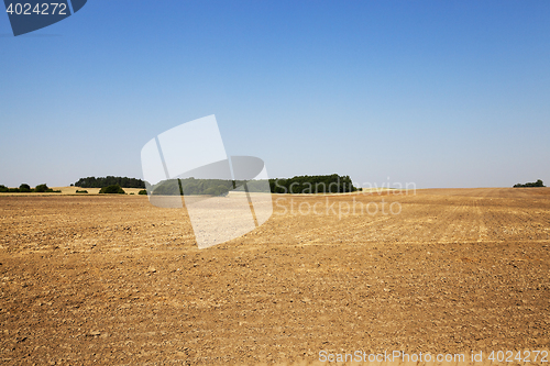 Image of plowed agricultural field