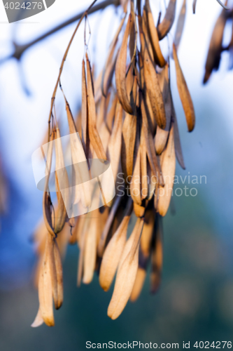 Image of autumn in the park