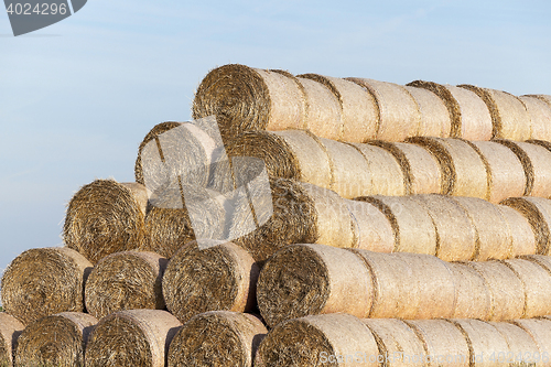 Image of stack of straw in the field