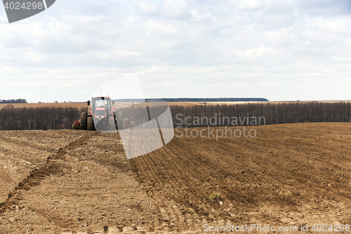 Image of Planting of cereal crops