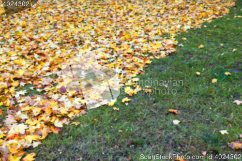 Image of autumn in the park