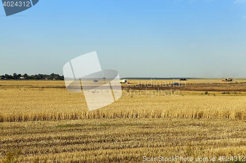 Image of Photo agriculture, Europe