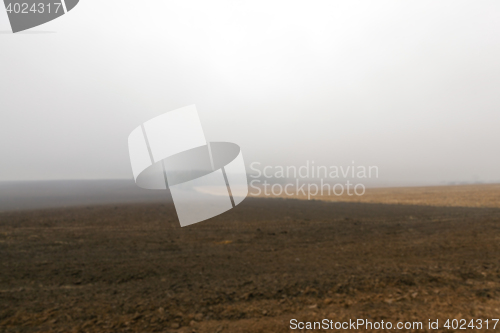 Image of Nature in autumn season