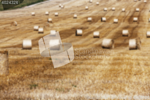 Image of straw in the field