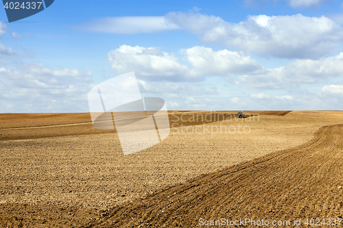 Image of tractor in the field