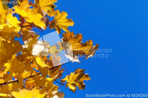 Image of autumn in the park