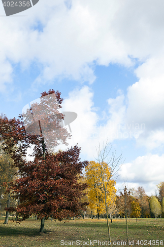 Image of Park in autumn