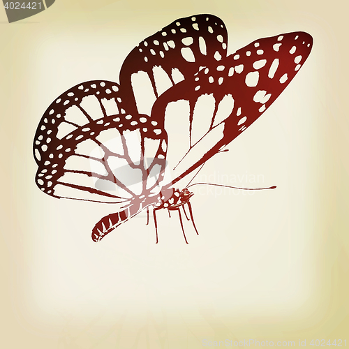 Image of Black and white beautiful butterfly. High quality rendering. 3D 