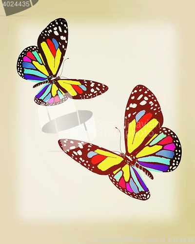 Image of beauty butterflies. 3D illustration. Vintage style.