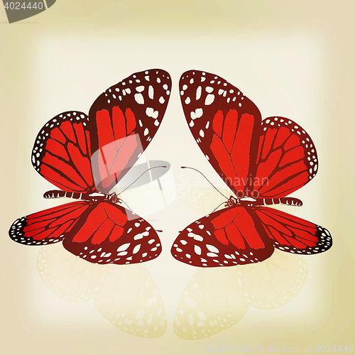 Image of beauty butterflies. 3D illustration. Vintage style.