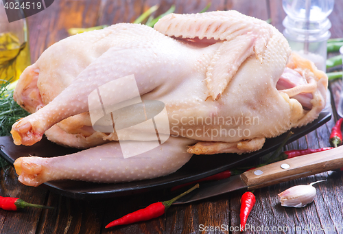 Image of Chicken