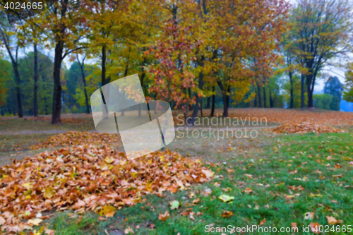 Image of autumn in the park