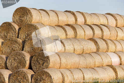 Image of stack of straw in the field