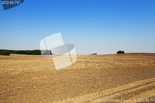 Image of plowed land, summer