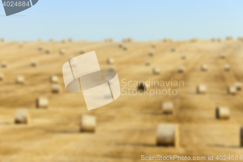 Image of agriculture, not in focus