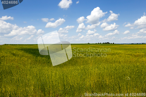 Image of on agricultural field