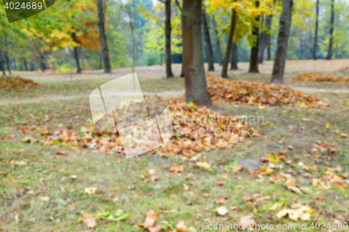 Image of autumn in the park