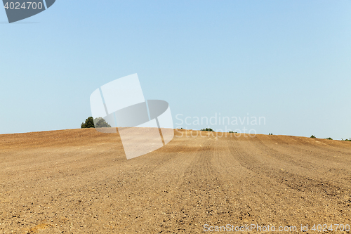 Image of plowed land, summer