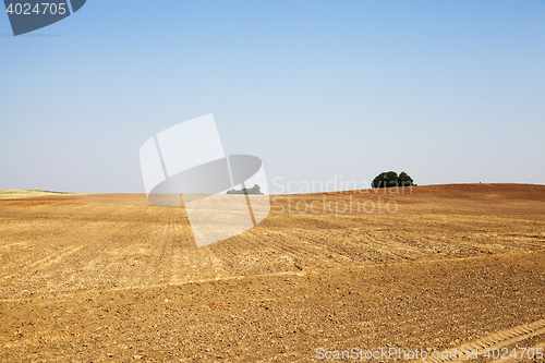 Image of plowed land, summer