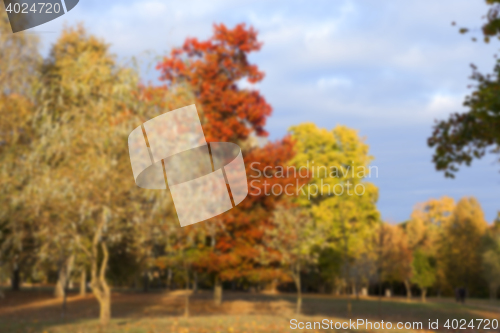 Image of autumn in the park