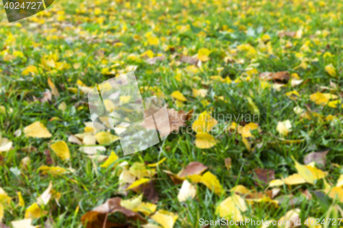 Image of autumn in the park