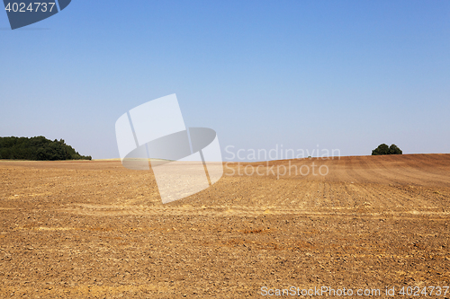 Image of plowed land, summer